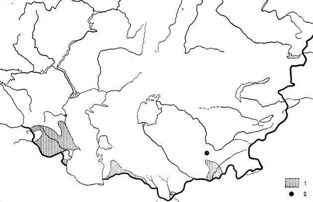 Кавказская агама (1), агама Павловского (2)