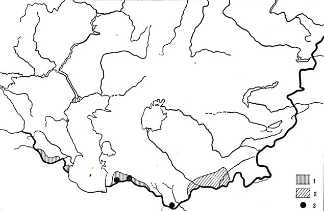 Ящурка Штрауха (1), таджикская ящурка (2), персидская ящурка (3)