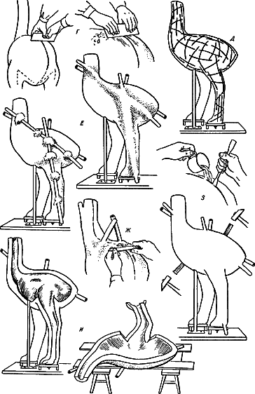 Формовка фигуры страуса