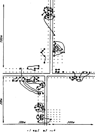 Распределение самок орешниковой сони на учетной площадке Приокско-Террасного заповедника летом 1954 г. 