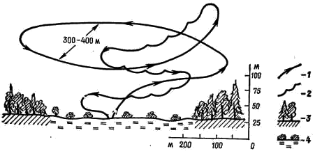 Схема брачного полета гаршнепа (Lymnocryptes minima)