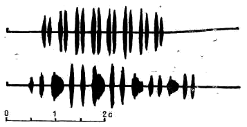 Осциллограммы вариантов весенней песни большой синицы (Parus major) исполняемых одним и тем же самцом