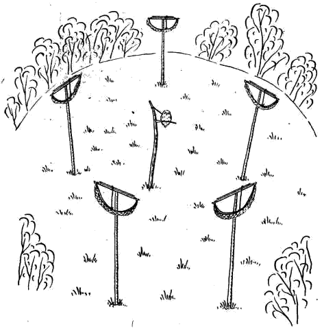 Для отлова ворон на подсадную сову шесты-ловушки располагают по кругу в радиусе 3—4 метра.