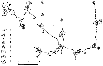 Схема кормовых ходов подземной полевки в заповеднике Лес на Ворскле