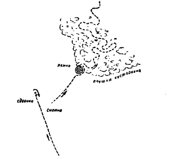 Схематический план расположения логова русака